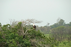 0359-Reis Zuid-Afrika2007